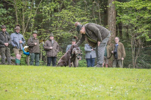 Hundepräsentation 2019